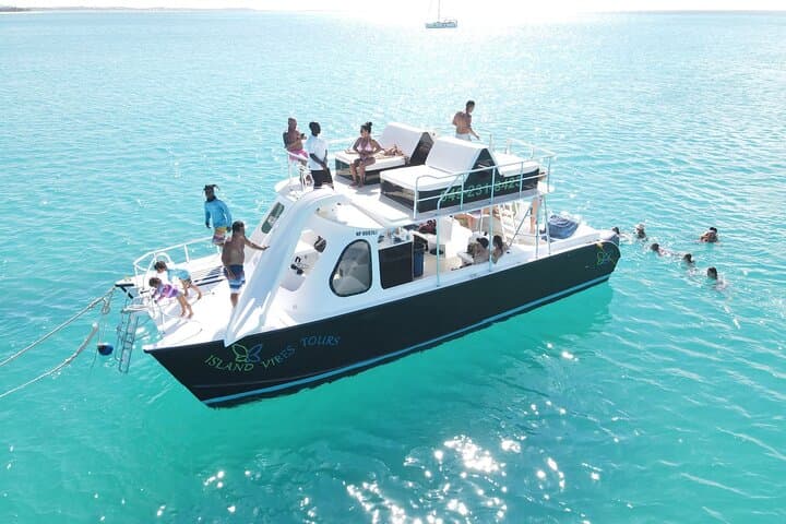 Half-Day Snorkel Cruise to Grace Bay Reef & Little Water Cay (Iguana Island)