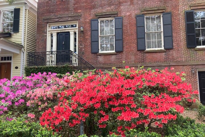Savannah Walking Tour: Forsyth Park to Historic District Highlights