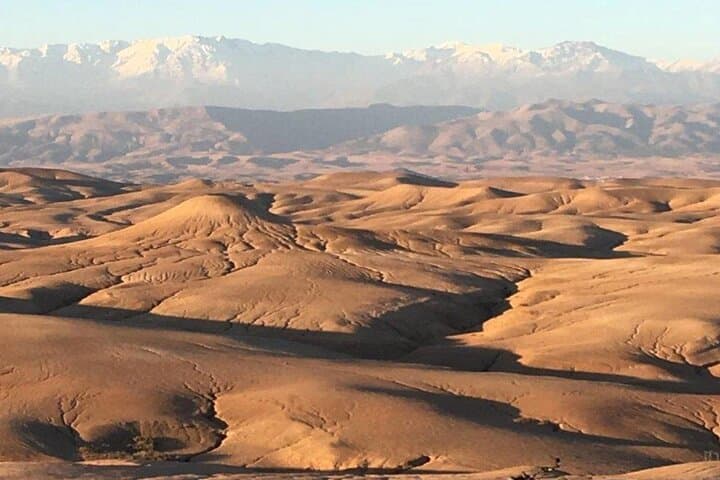 Agafay Desert Quad and Camel Experience from Marrakech with Dinner Show