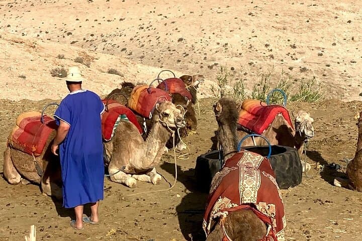 Agafay Desert Quad and Camel Experience from Marrakech with Dinner Show photo 6