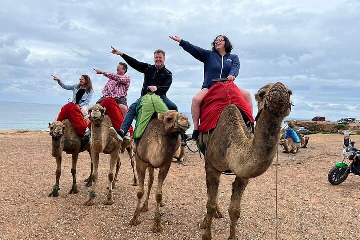 Full-Day Private Tangier Sightseeing & Cultural Tour with Camel Ride
