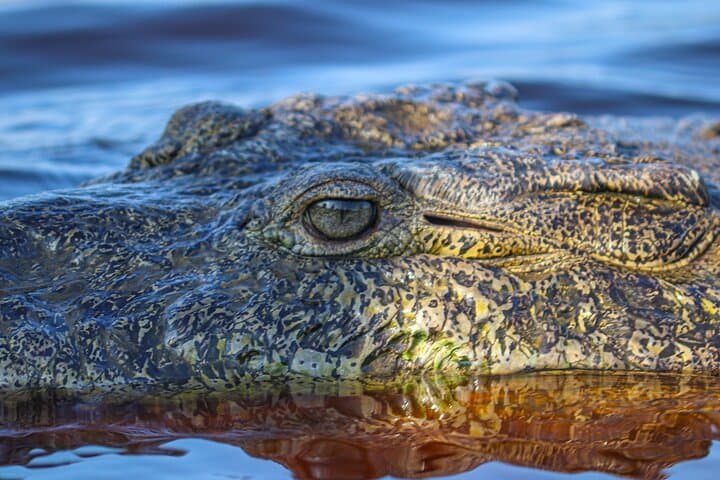 Huatulco to Ventanilla, Mazunte & Zipolite: Half-Day Coastal Wildlife Tour photo 6