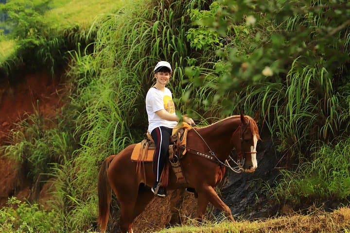 Sierra Madre Horseback Ride: Puerto Vallarta Mountains & Jorullo Bridge photo 4