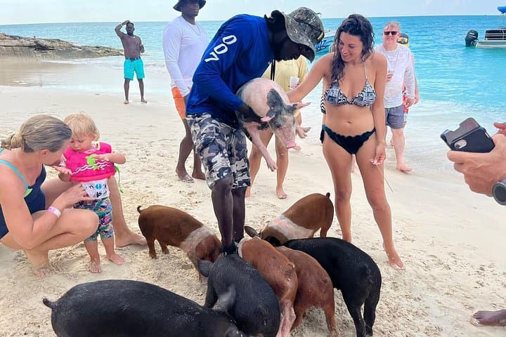 Rose Island Private Beach & Swimming Pigs Powerboat Tour (Nassau) photo 4