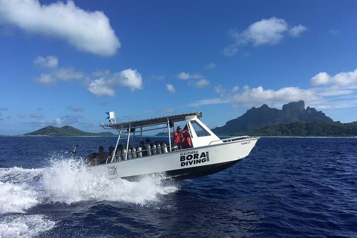 Bora Bora Afternoon Dive: Reef & Lagoon Scuba for Certified Divers photo 2