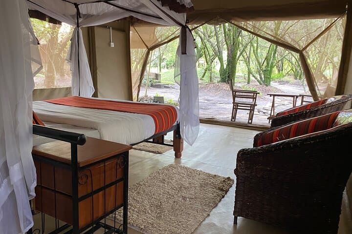 3-Day Maasai Mara Safari: Big Five Game Drives & Tent Camping photo 4