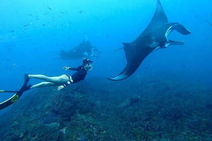 Nusa Penida West Tour: Snorkel Manta Rays, Kelingking & Broken Beach