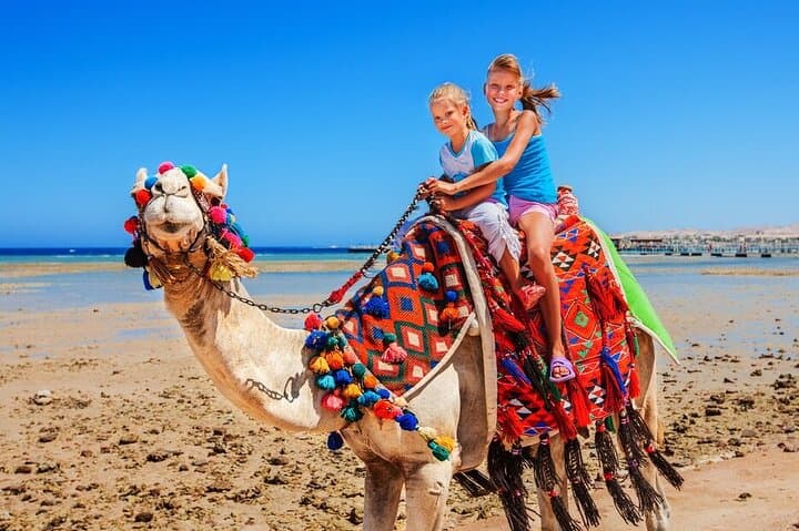 Essaouira Day Trip from Marrakech: Private Full-Day Coastal Excursion photo 4