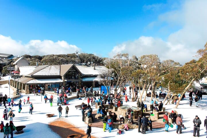 Mount Buller One-Day Guided Snow Tour from Melbourne