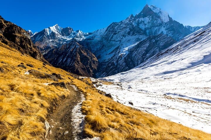 Annapurna Base Camp Trek — 7-Day Trek from Pokhara to ABC photo 5