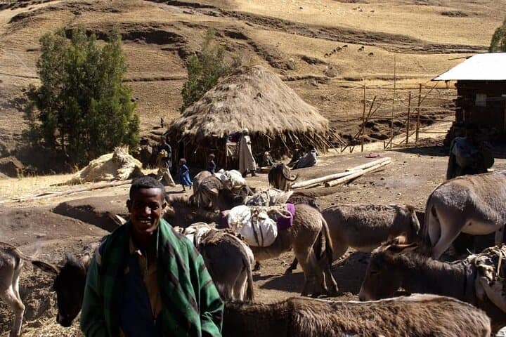 4-Day Simien Mountains Trek: High-Plateau Trails, Gelada Baboons & Walia Ibex photo 3