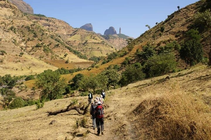 4-Day Simien Mountains Trek: High-Plateau Trails, Gelada Baboons & Walia Ibex photo 6