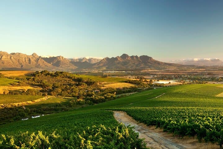 Full-Day Cape Winelands Tour — Stellenbosch, Franschhoek & Paarl Wine Route photo 2