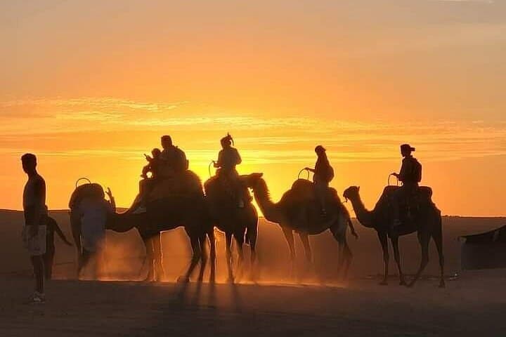 Sunset Camel Ride in Agafay Desert — Marrakech Day Trip & Practical Tips photo 3