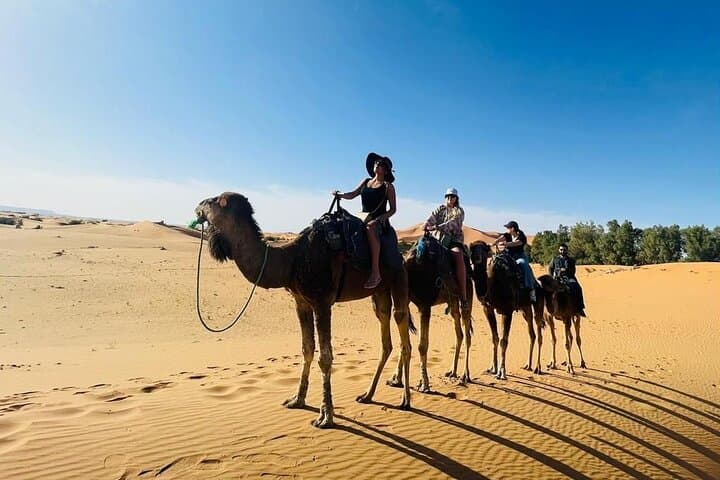 Sahara Dunes to Kasbahs: Luxury 3-Day Desert Tour from Fez to Marrakech photo 1
