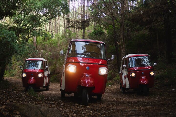 Full-Day Private Tuk-Tuk Tour in Sintra — Palaces, Forests & Coastal Cliffs photo 4