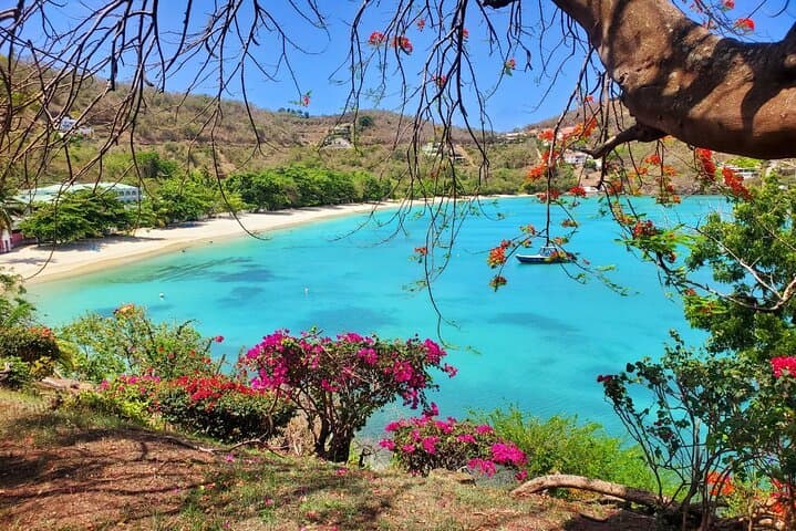 Tropically Yours: Full-Day Grenada Island Tour — Grand Etang, Concord Falls & Rum Tasting