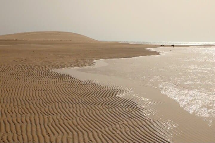 Explore Dakhla's White Dune: Private Bay, Birdlife & Secret Shore Tour photo 3