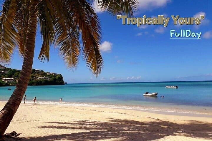 Tropically Yours: Full-Day Grenada Island Tour — Grand Etang, Concord Falls & Rum Tasting photo 6