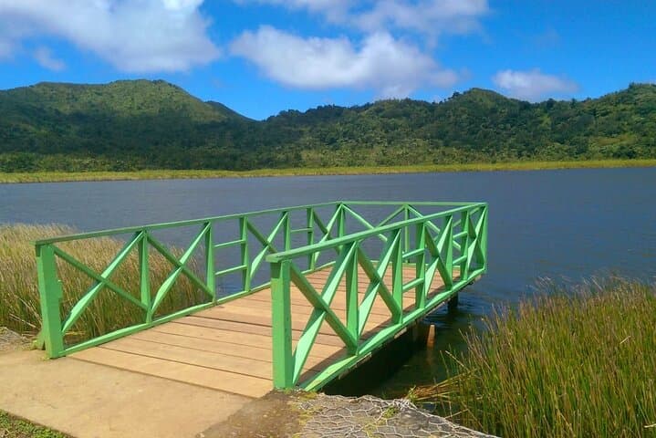 Tropically Yours: Full-Day Grenada Island Tour — Grand Etang, Concord Falls & Rum Tasting photo 3