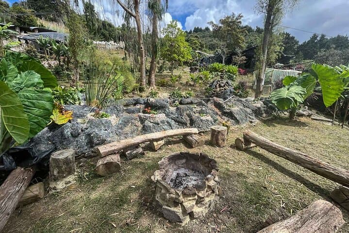 Overnight Birding at Arvi Park: Cloud-Forest Cabin Near Medellín photo 3