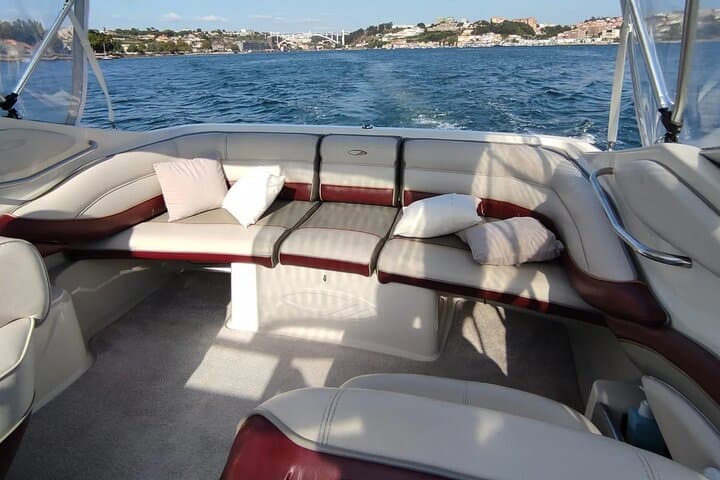 One-Hour Private Douro River Cruise: Foz to Ponte D. Luís photo 4