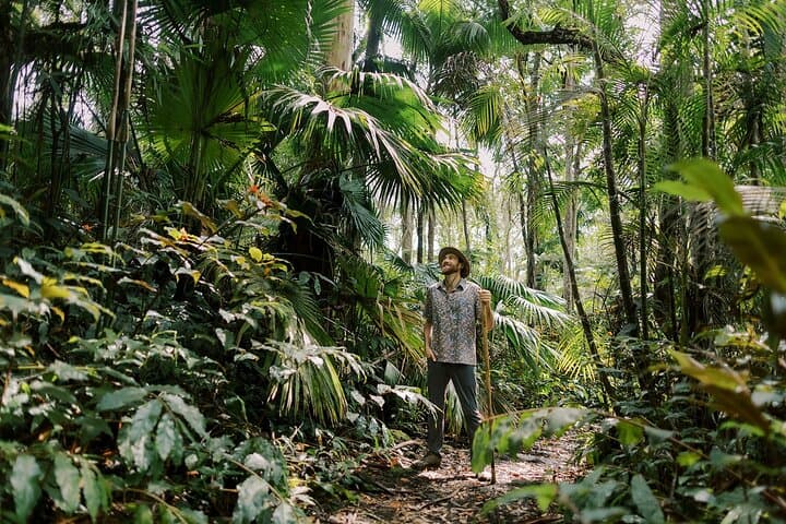 Exploring the Kona Cloud Forest Sanctuary: Hawaii’s Rare Montane Jungle Adventure