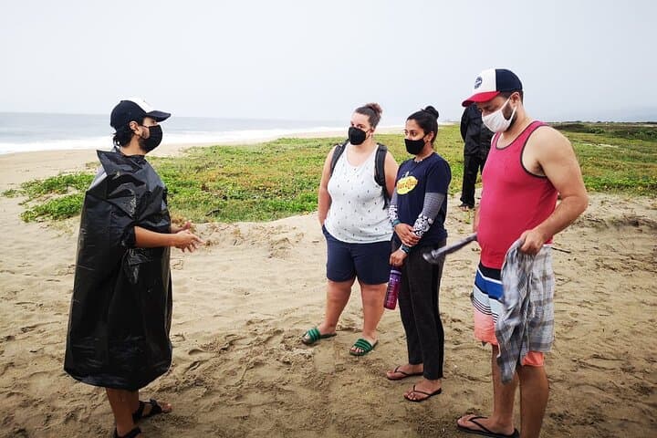 Olive Ridley Turtle Release near Puerto Escondido — Hatchling Conservation Experience photo 3