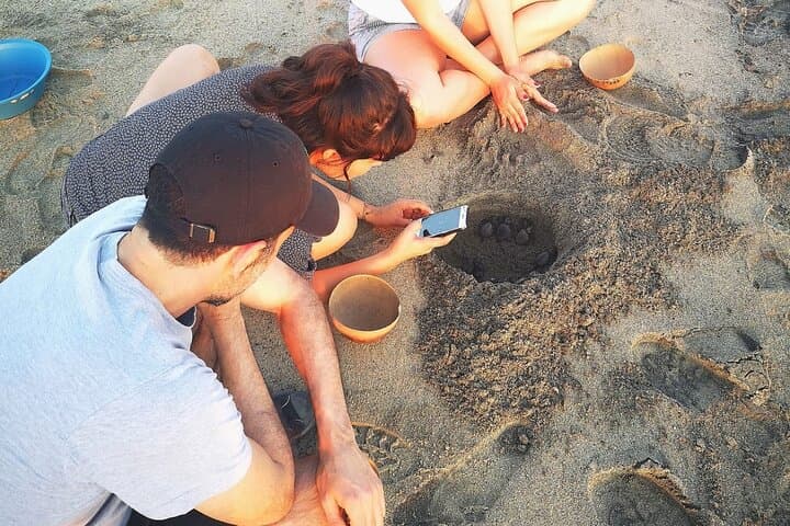 Olive Ridley Turtle Release near Puerto Escondido — Hatchling Conservation Experience photo 4