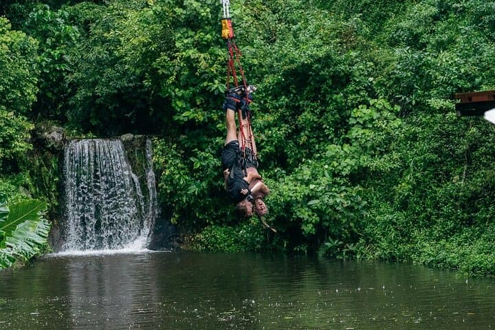 Bungy Jump at Skypark Cairns by AJ Hackett — 50m Leap Over World Heritage Rainforest photo 2