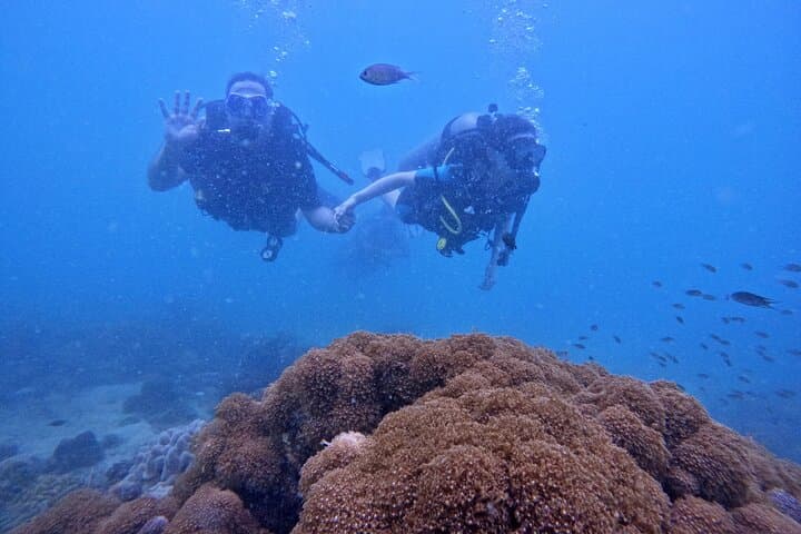 Try Scuba Diving in Phu Quoc: Beginner Try Dive Experience