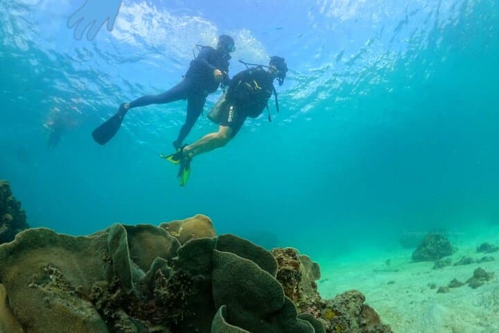 Try Scuba Diving in Phu Quoc: Beginner Try Dive Experience photo 4