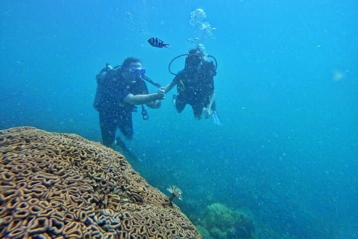 Try Scuba Diving in Phu Quoc: Beginner Try Dive Experience photo 3