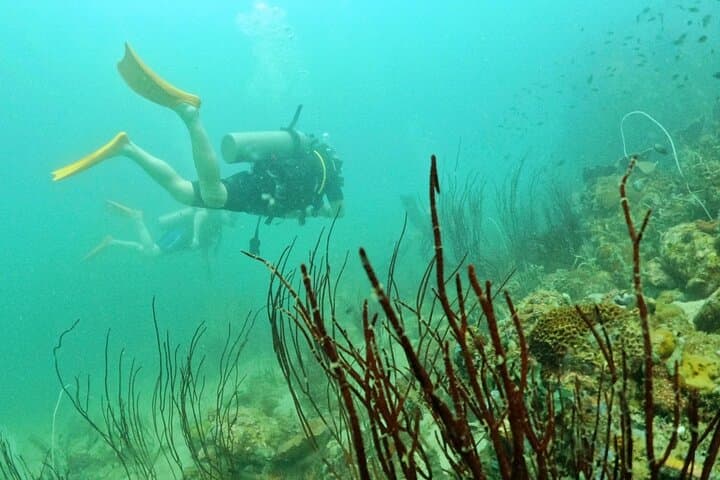 Scuba Diving the An Thoi Islands — Phu Quoc Certified Day Dives photo 4