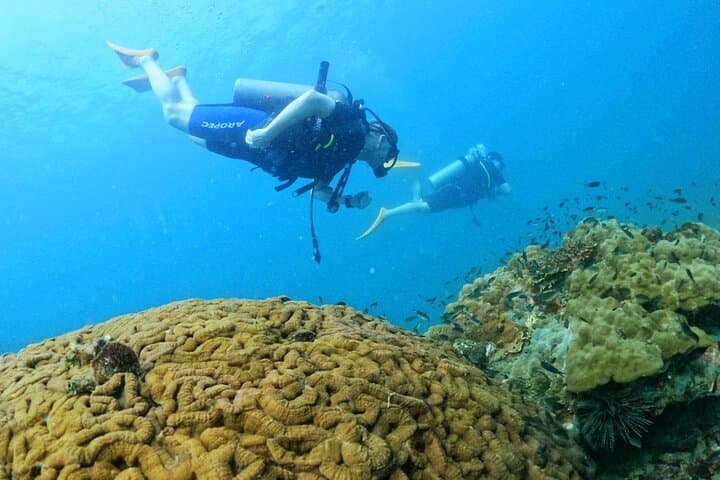 Scuba Diving the An Thoi Islands — Phu Quoc Certified Day Dives