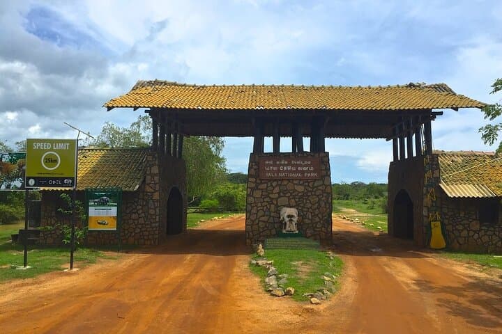 Yala National Park Day Safari from Colombo — Leopard & Elephant Jeep Tour photo 1