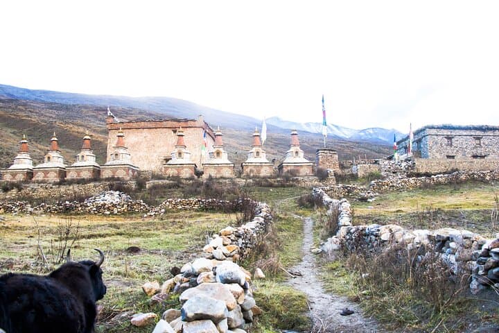 Upper Dolpo Trek: Remote High-Altitude Route to Phoksundo Lake photo 2