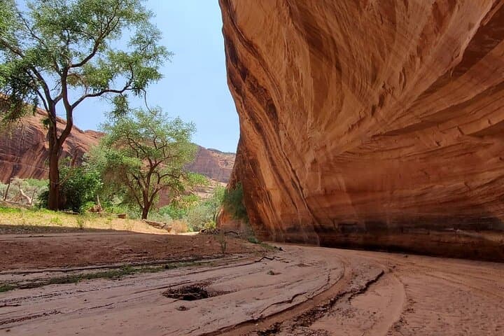 Private 3-Hour Canyon de Chelly Tour — Navajo-Guided Ruins & Rock Art photo 4