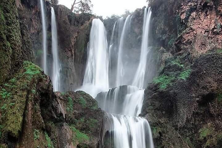 Ouzoud Waterfalls Day Trip from Marrakech — Boat Ride, Monkeys & Riverside Lunch photo 6