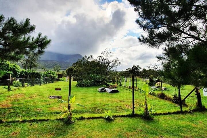 Tsitsikamma Wolf Sanctuary Guided Tour — Ethical Wolf Encounters on the Garden Route photo 6