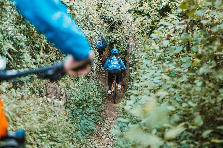 Sorrento E-bike Oil and Lemon Tasting Tour — Pedals & Flavours photo 4
