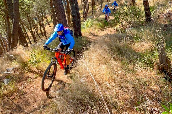 Sorrento E-bike Oil and Lemon Tasting Tour — Pedals & Flavours photo 1