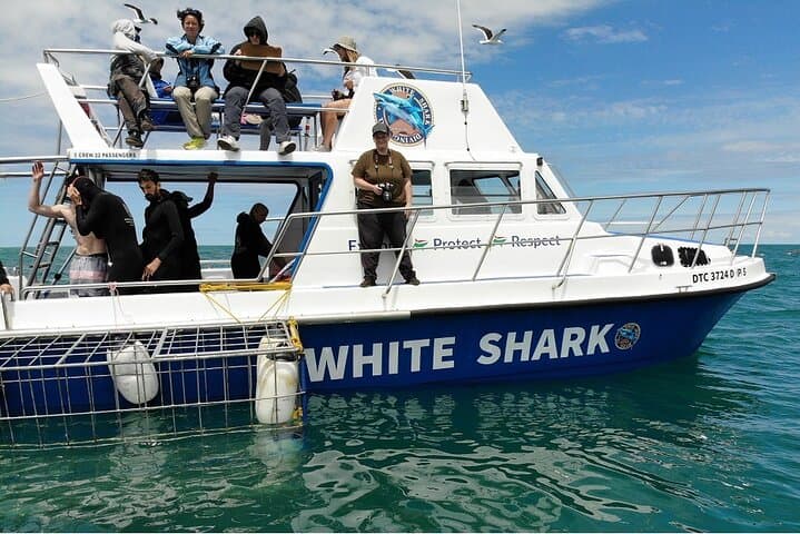 Gansbaai Shark Cage Diving and Whale Watching: Combo Marine Adventure photo 4