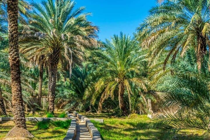 private-al-ain-4x4-sightseeing-tour-with-zoo-tickets photo 3