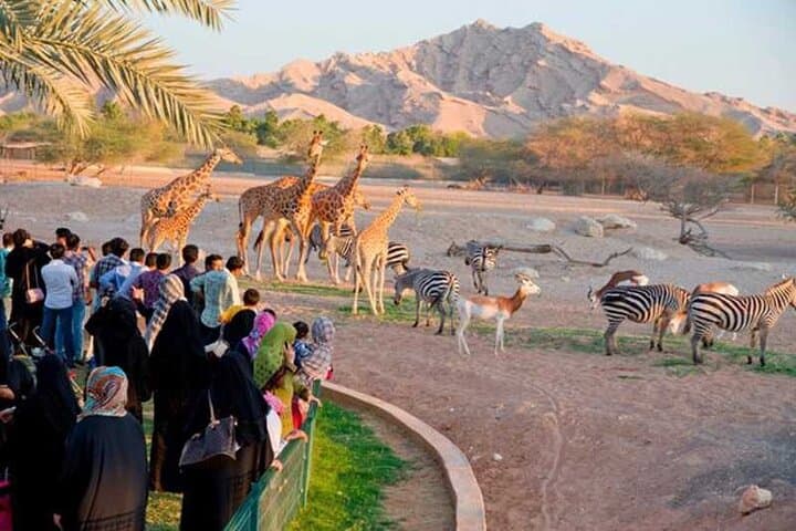 private-al-ain-4x4-sightseeing-tour-with-zoo-tickets