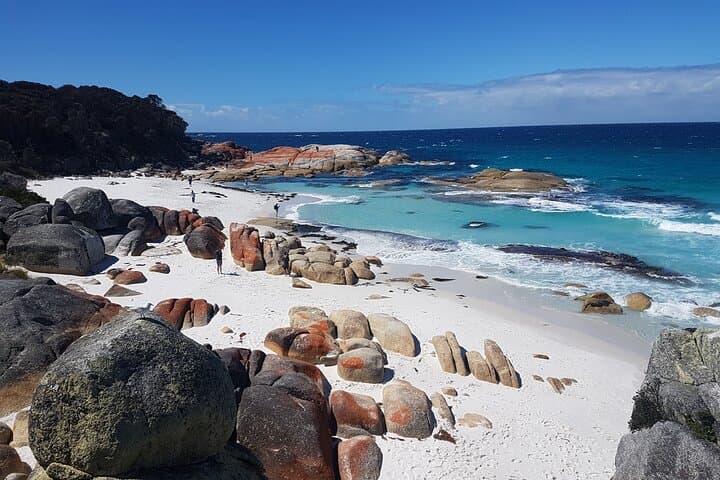 Wild Tasmania: 4-Day Wildlife & Hiking Loop from Hobart photo 2