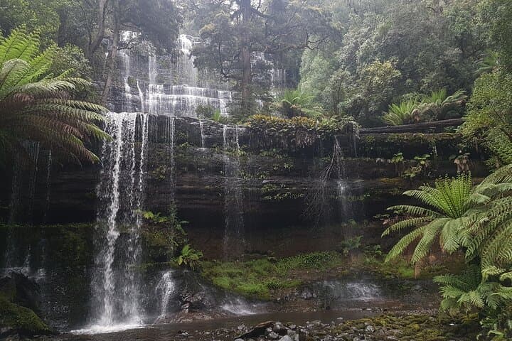 Wild Tasmania: 4-Day Wildlife & Hiking Loop from Hobart photo 5