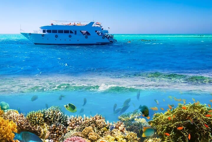 Ras Mohamed and White Island Snorkeling & Diving Day Trip from Sharm El Sheikh photo 3