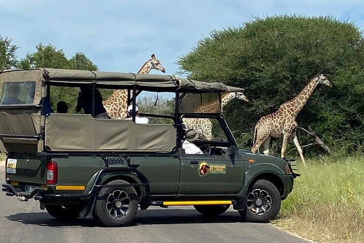 Full-Day Kruger National Park Safari: Big Five Game Drive from Mpumalanga photo 4