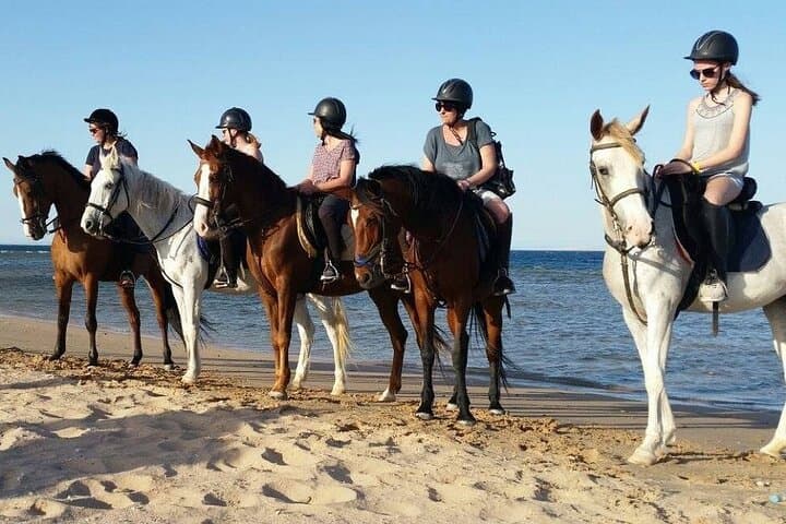 Horseback Riding Across Hurghada Beach and Desert — 2-Hour Guided Tour photo 3
